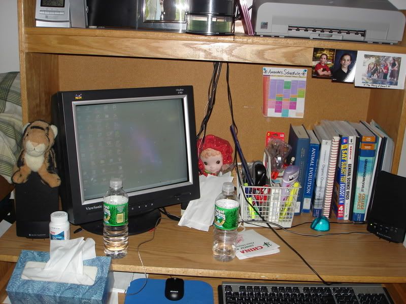 Photo Sharing and Video Hosting at Photobucket