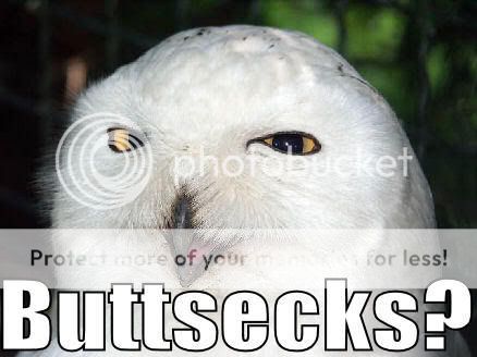 Owl-buttsecks-1.jpg