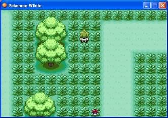 [PokeCommunity.com] Pokemon White