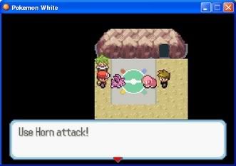 [PokeCommunity.com] Pokemon White