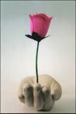loverose.jpg