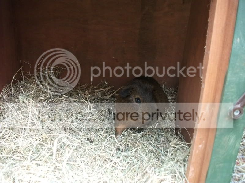 DSCF2363.jpg