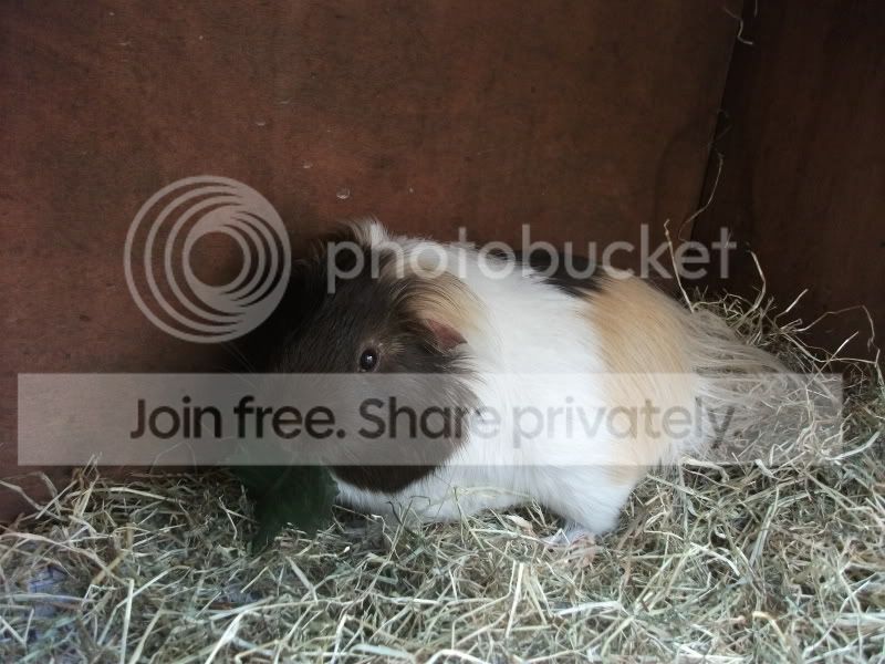 DSCF2364.jpg