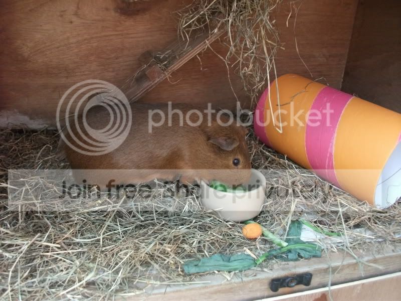 DSCF2372.jpg