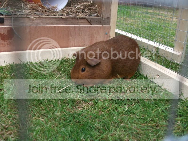 DSCF2373.jpg