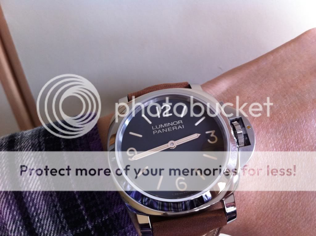 今天戴这个,沛纳海,爱表族论坛 - powered by discuz!