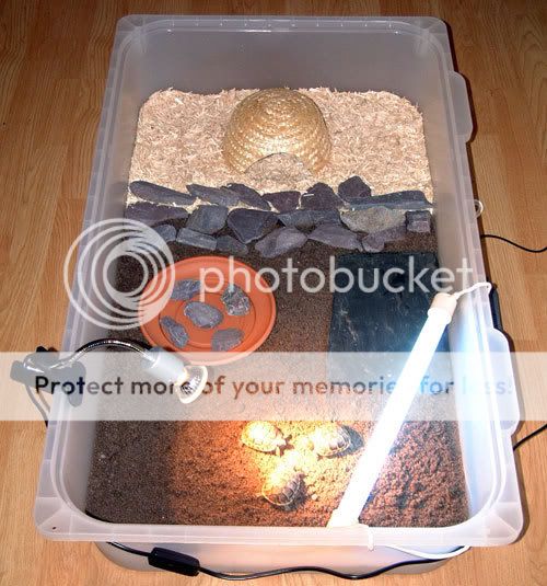 Free Indoor Tortoise Enclosures...Well sort of! - Reptile Forums